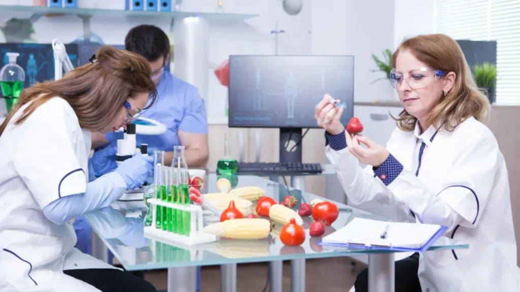 Maintaining your FSMS: how to keep it effective year-round