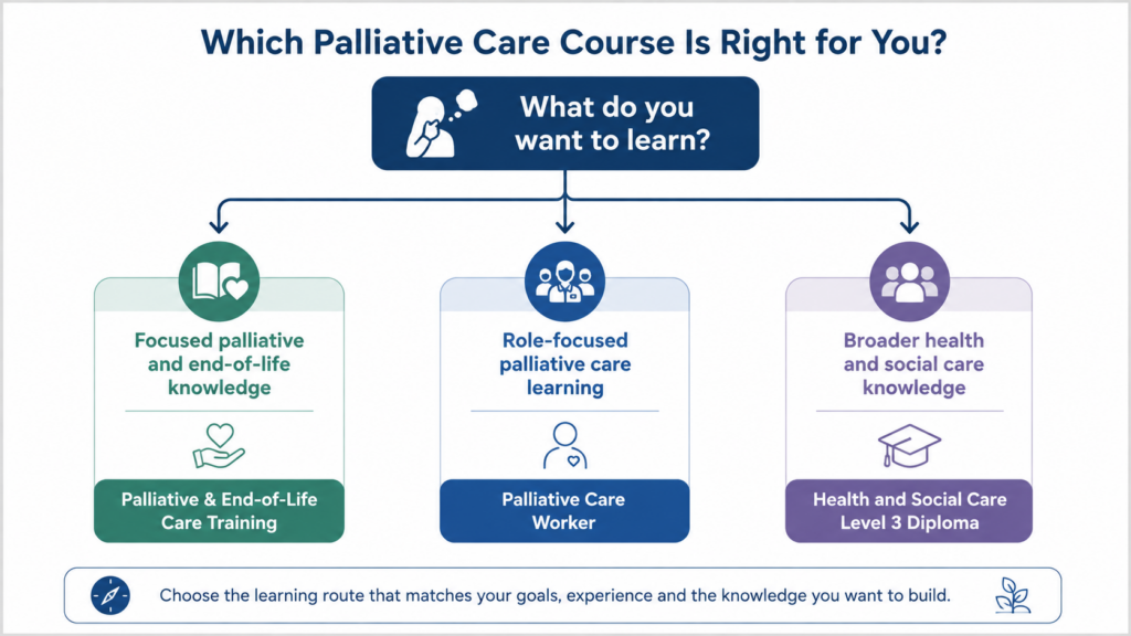 Palliative care course comparison and learning pathway infographic