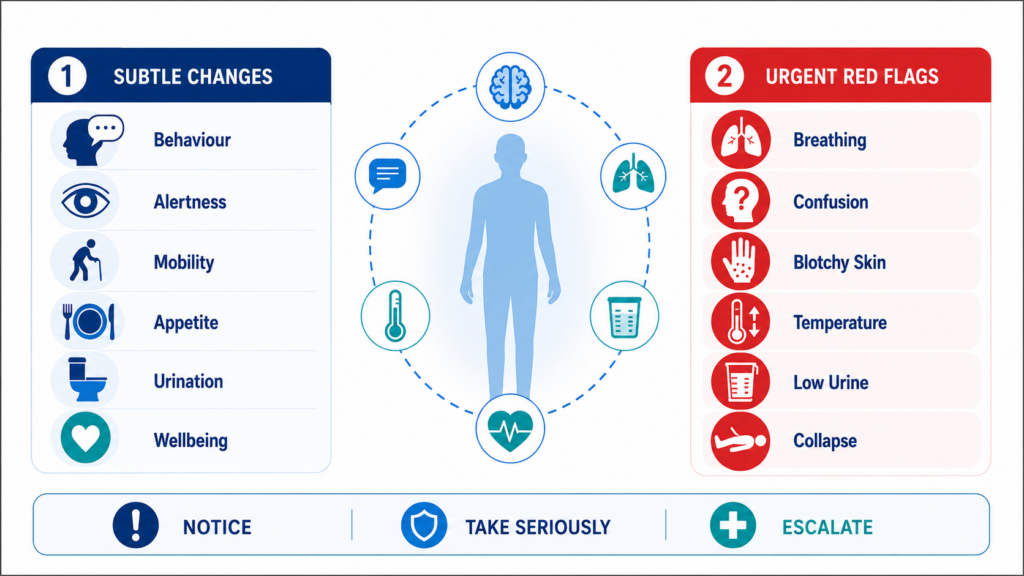 early-sign-and-red-flags-of-sepsis-care-worker-should-notice.