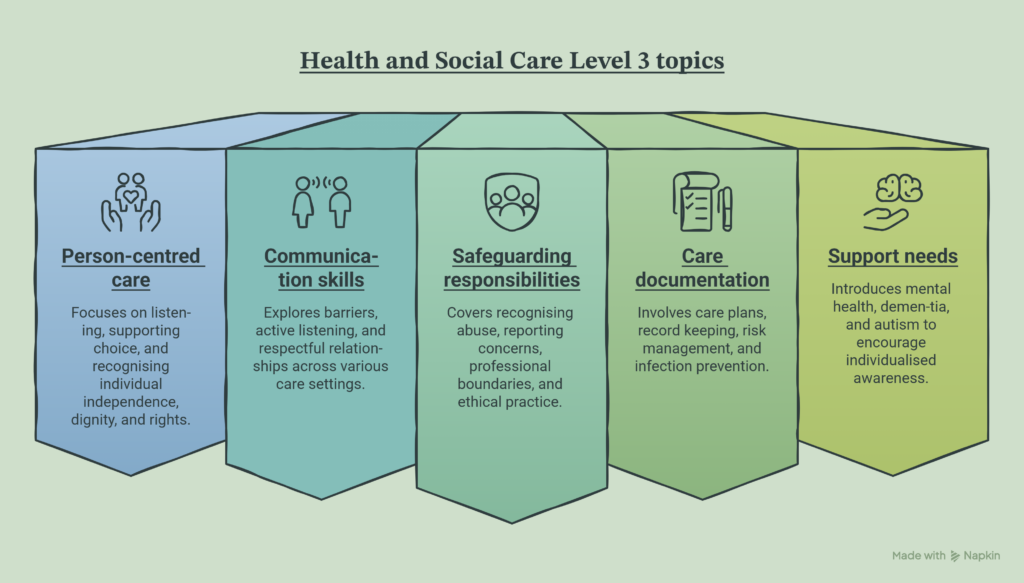 Level 3 Health and Social Care Best Online Course Guide for 2026